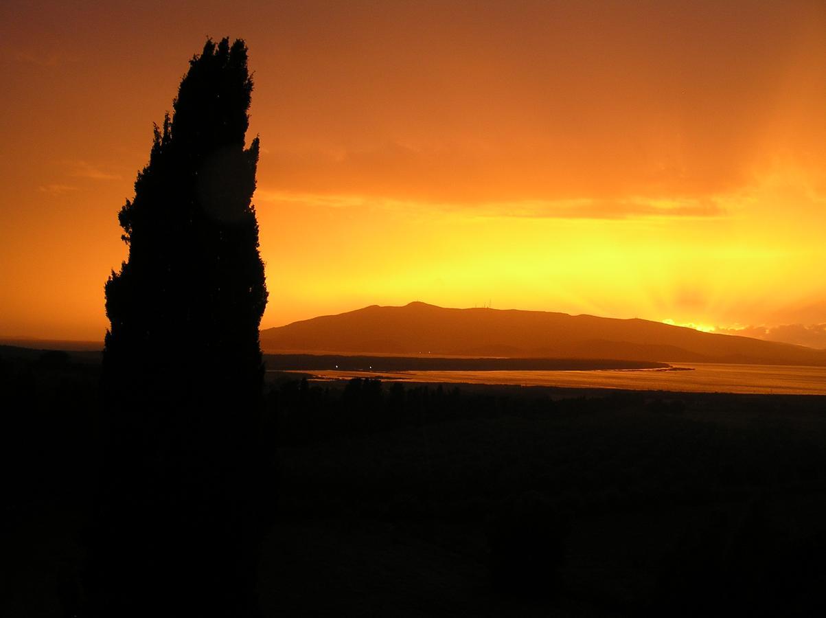 Agriturismo Grazia Orbetello Exteriör bild